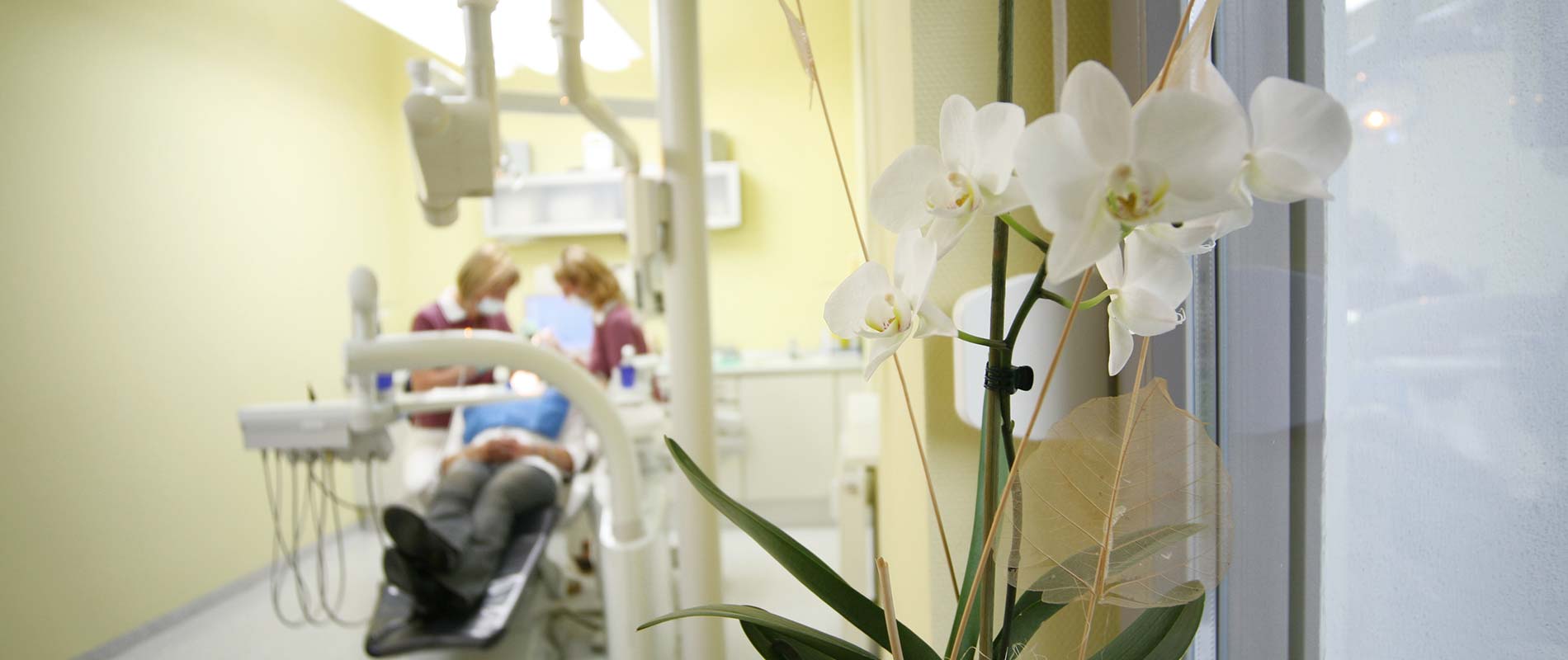 Blumenstrauß im Behandlungszimmer der Zahnarztpraxis Uta Rusch in Schönebeck (Elbe).